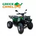  GreenCamel