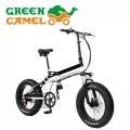  GREEN CAMEL