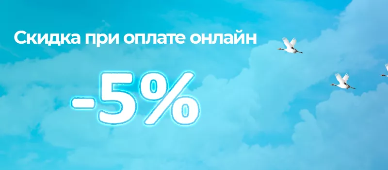  5%   